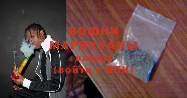 ПСИЛОЦИБИНОВЫЕ ГРИБЫ Горняк