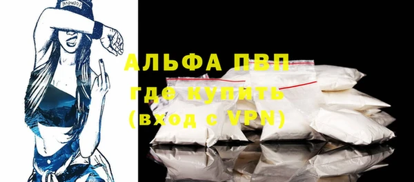 ПСИЛОЦИБИНОВЫЕ ГРИБЫ Горняк