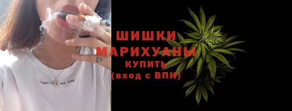 ПСИЛОЦИБИНОВЫЕ ГРИБЫ Горняк