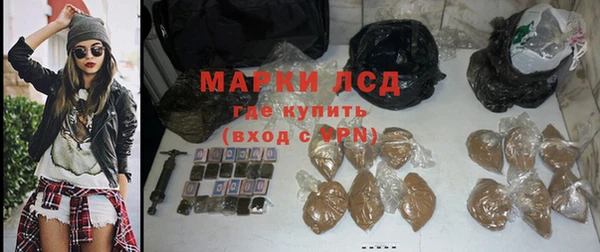 ПСИЛОЦИБИНОВЫЕ ГРИБЫ Горняк