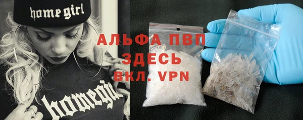 ПСИЛОЦИБИНОВЫЕ ГРИБЫ Горняк