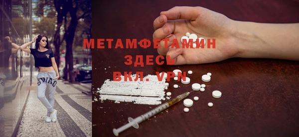 ПСИЛОЦИБИНОВЫЕ ГРИБЫ Горняк