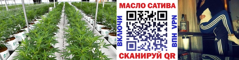 Купить где  Тотьма  ТГК концентрат 